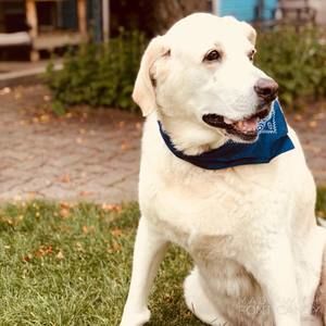 Meet your Posher, Cody